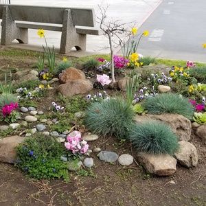 Meet your Posher, Lorrie